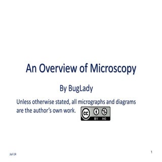 Microscopy for Microbiology: A Primer