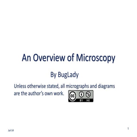 Microscopy for Microbiology: A Primer