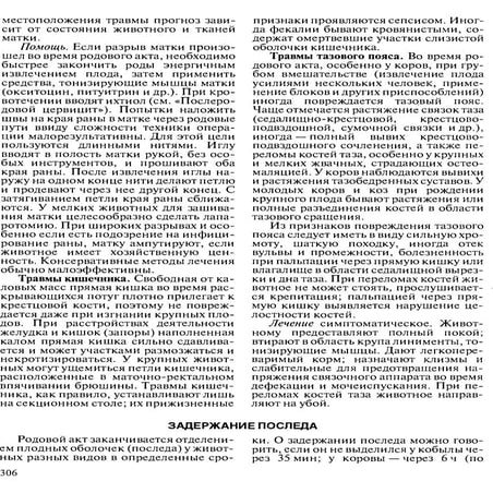 3. задержание последа у коров. | PDF