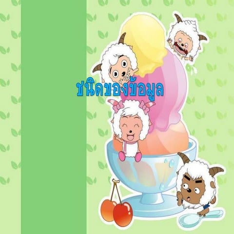 3.3. ชนิดของข้อมูล