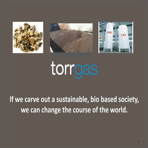 Reliance Refining Building Worlds Larges Coke Gasification Project | PDF
