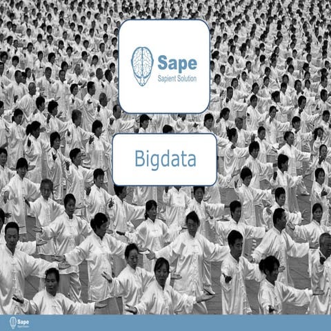 Александр Шестаков и Дмитрий Буров, Sape и Likeberi: "Bigdata"