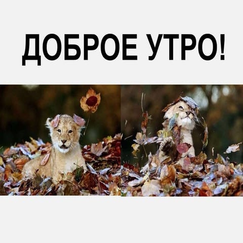 Ольга Соколова, Reputation Guru: "Управление репутацией онлайн"