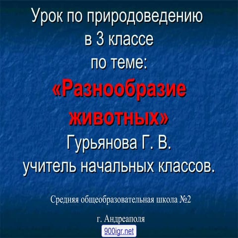 разнообразие животных 3 класс | PPT