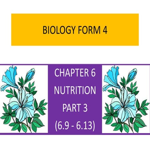 BIOLOGY FORM 4 CHAPTER 6 - NUTRITION PART 3