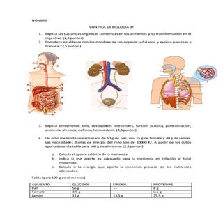 Examen adaptado TDAH "la nutrición"...
