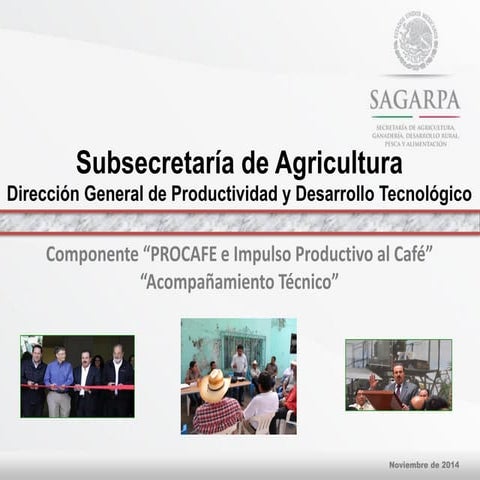 3. servicio de acompa+æamiento tecnico procafe ing. juan de dios del castillo