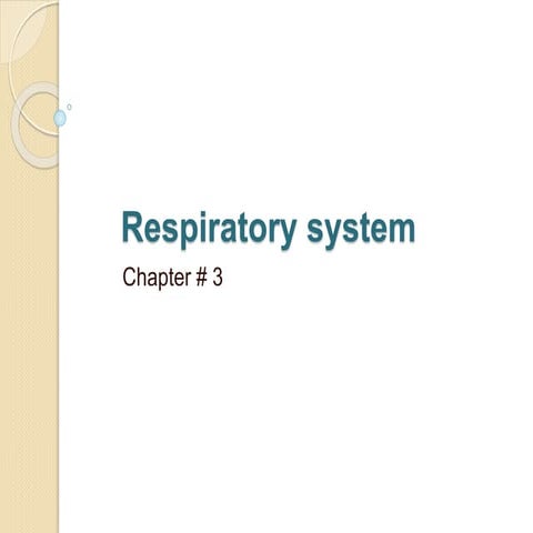 3. respiratory system (1)
