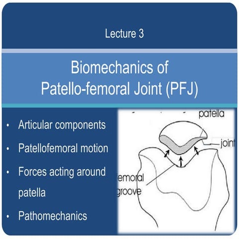 3. biomechanics of Patellofemoral joint