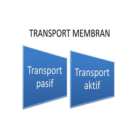 Transport Membran