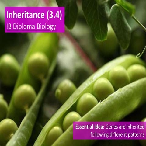 3.4 slides   inheritance