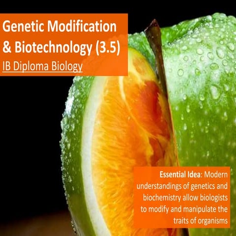 IB Biology 3.5 Slides: Genetic Modification & Biotechnology
