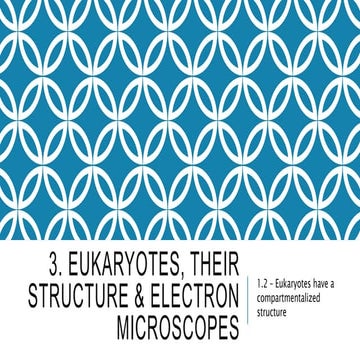 3. eukaryotes, their structure & em