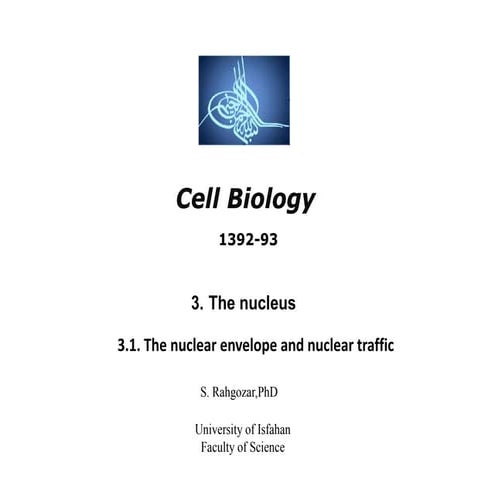 3.nucleus.cell biology