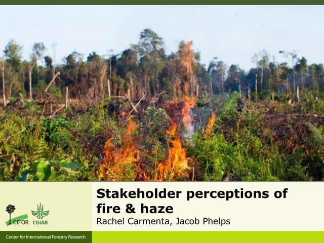 Stakeholder Perceptions of Fire and Haze