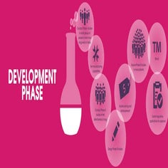 Development Phase | PDF