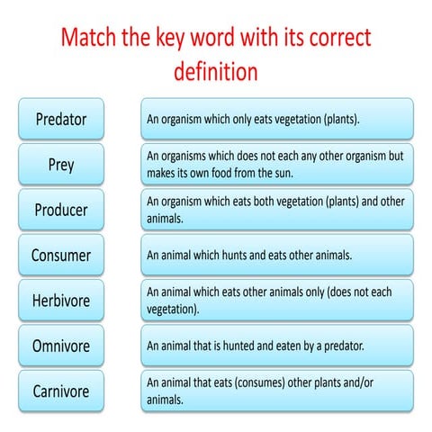 3.1 food webs_all_around
