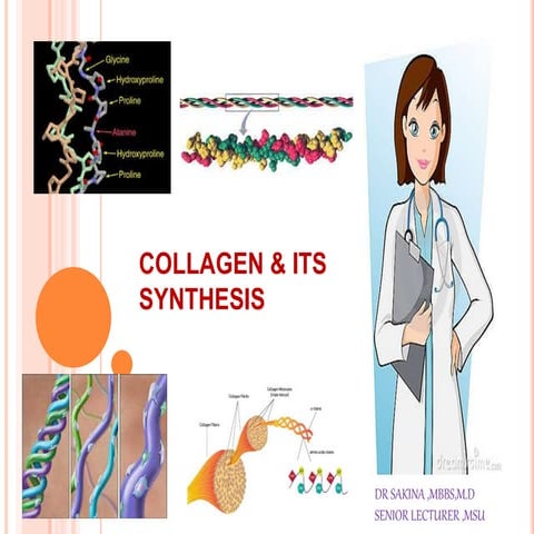 Collagen -Structure and Function | PDF