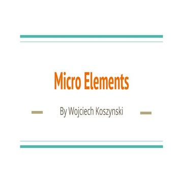 3.micro elements wojciech