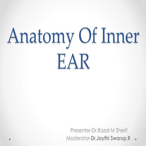 Anatomy of inner ear