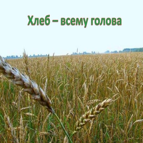 Презентация по профориентации "Хлеб всему начало" ДП "Золушка" УВК № 25