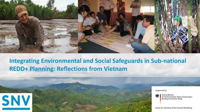 Integrating Environmental and Social Safeguards in Subnational REDD+ Planning...