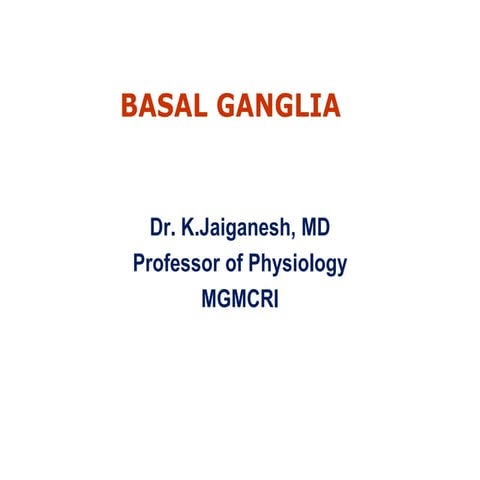 3.basal ganglia kjg