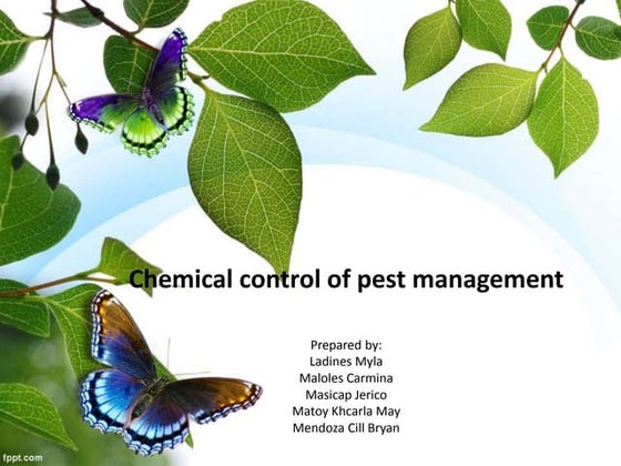 Pest control measures | PPT