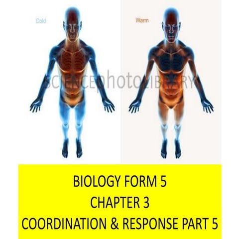 Biology Form 5 Chapter 3  - Coordination & Response  Part 5 - Body Temperatur...