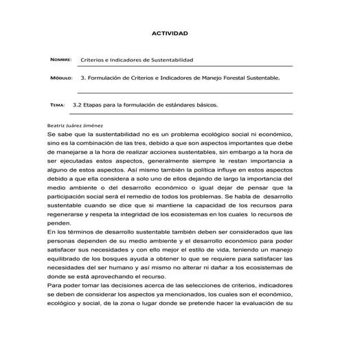 3.2 etapas para la formulación de estándares básicos.