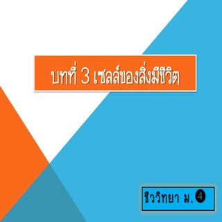 บทที่ 3 เซลล์ของสิ่งมีชีวิต