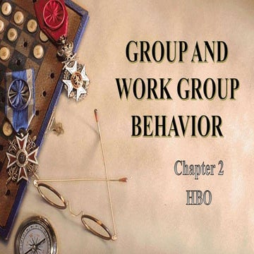 Group and Work Group Behavior