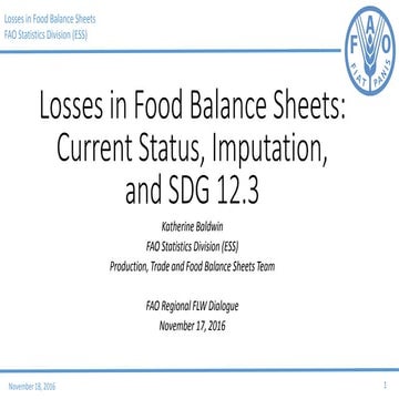 Losses in Food Balance Sheets: Current Status, Imputation, ans SDG 12.3