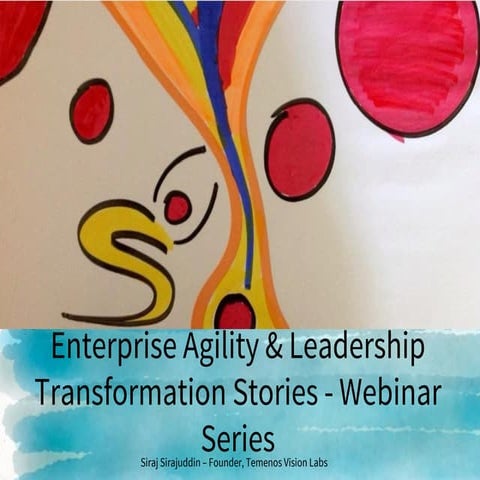 Enterprise Agility & Leadership Transformation Stories