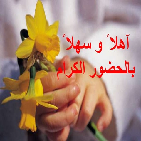 النظام الشمسي 3