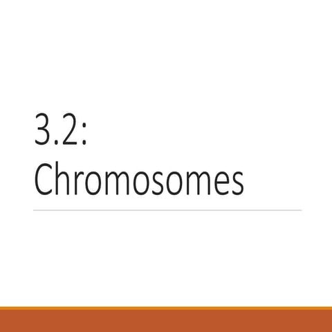 3.2 chromosomes