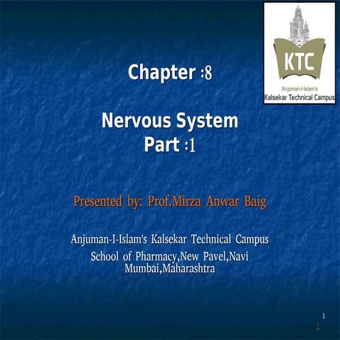 3 Nervous System Part 1 Pdf