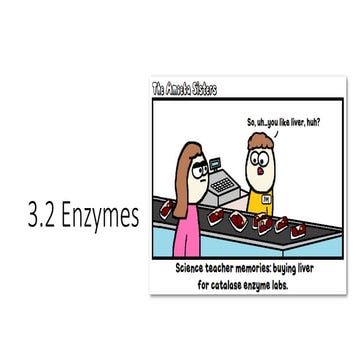 3.2 enzyme UEC Senior 1 Biology 独中高一生物 