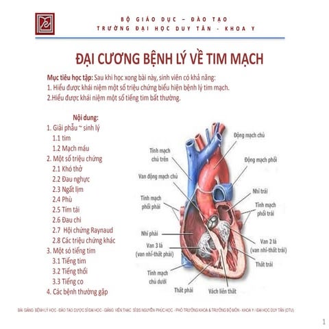 Tiếng tim | PDF
