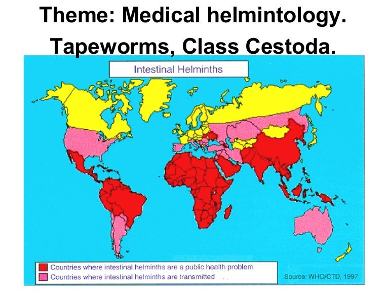 Class Cestoda. Tapeworms
