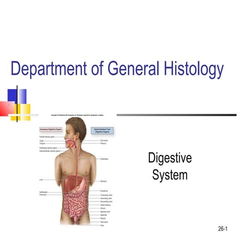 Histology of Digestive system