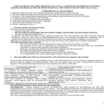 Structure of prokaryotic cell wall
