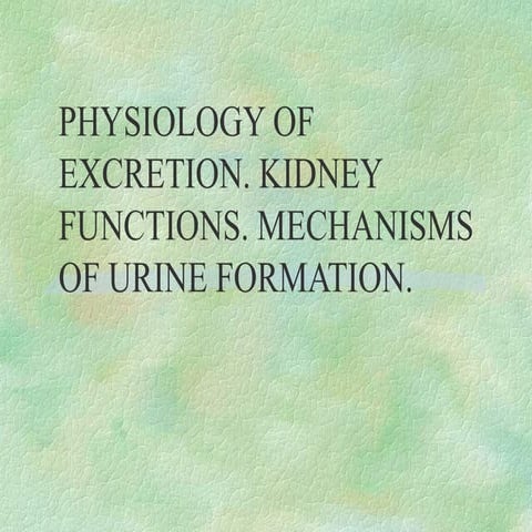 Physiology of excretion. Kidney functions. Urine Formation