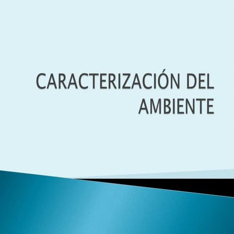 3.caracterización del ambiente