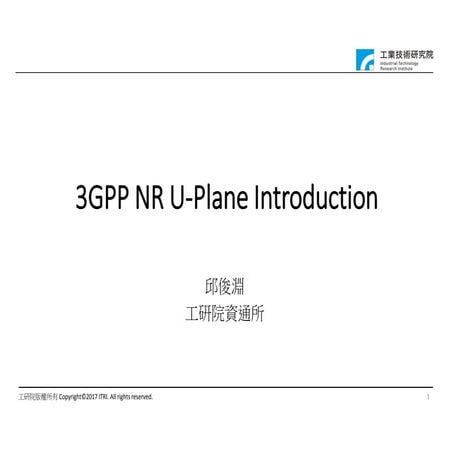 3.3 gpp NR USER Plane introduction