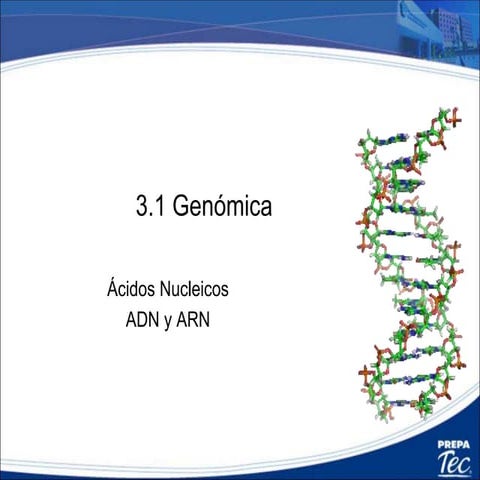 3.1 Genómica resumen