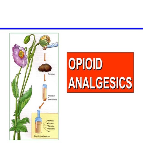 Opioid Analgesics