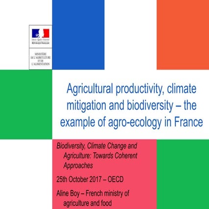 3.2 Agricultural Productivity, Climate Mitigation and Biodiversity: The ...