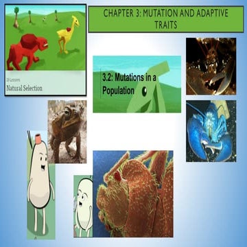 Mutations In a Population