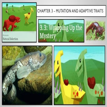 Wrapping Up The Newt Mystery